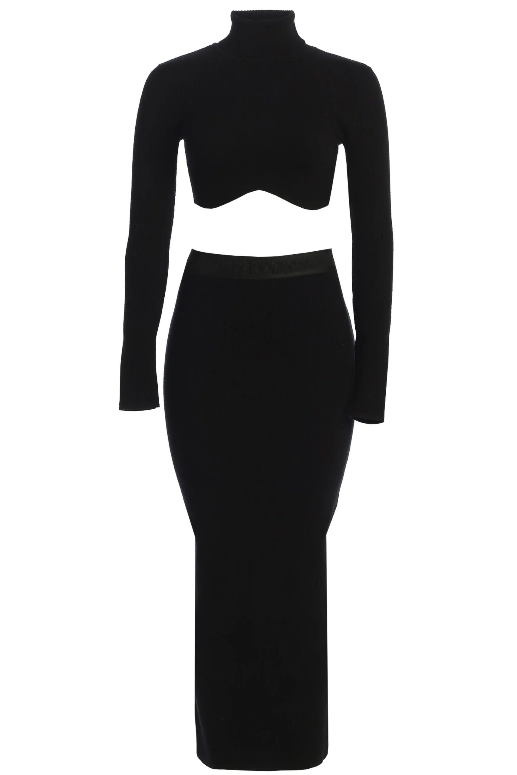 black_anise_ribbed_skirt__0.webp JLUXLABEL Black Anise Ribbed Skirt Set