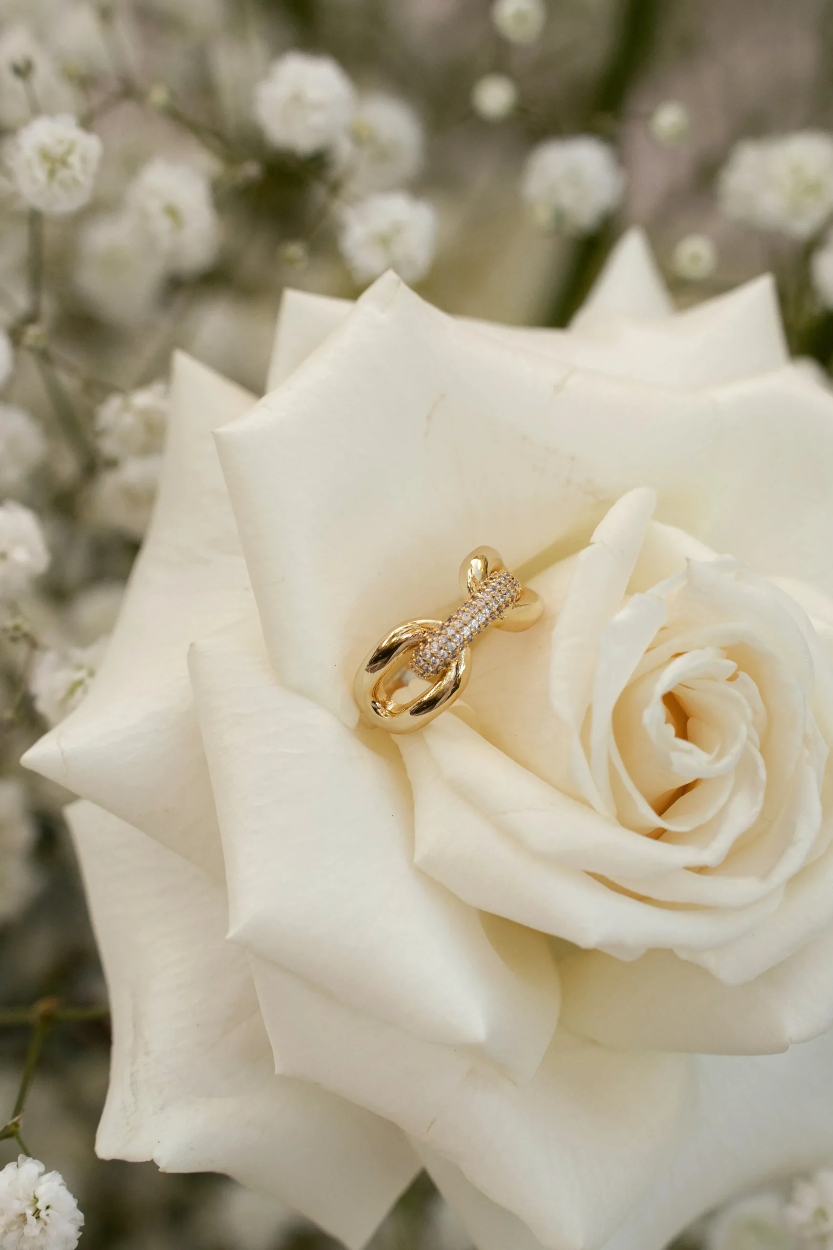 gold_davi_paved_ring_0.webp JLUXLABEL Gold Davi Paved Ring