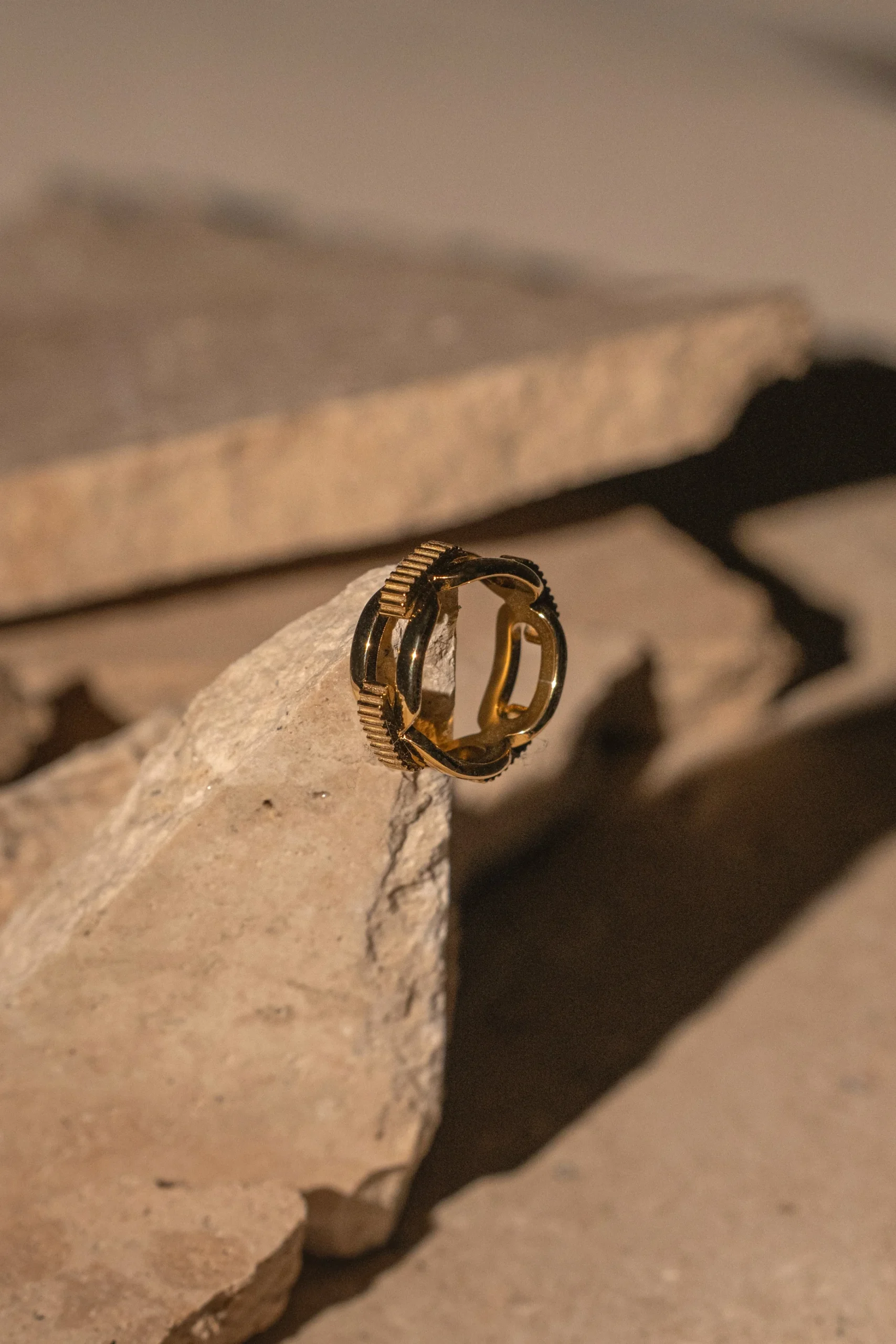 gold_emi_chain_ring_2.webp JLUXLABEL Gold Emi Chain Ring