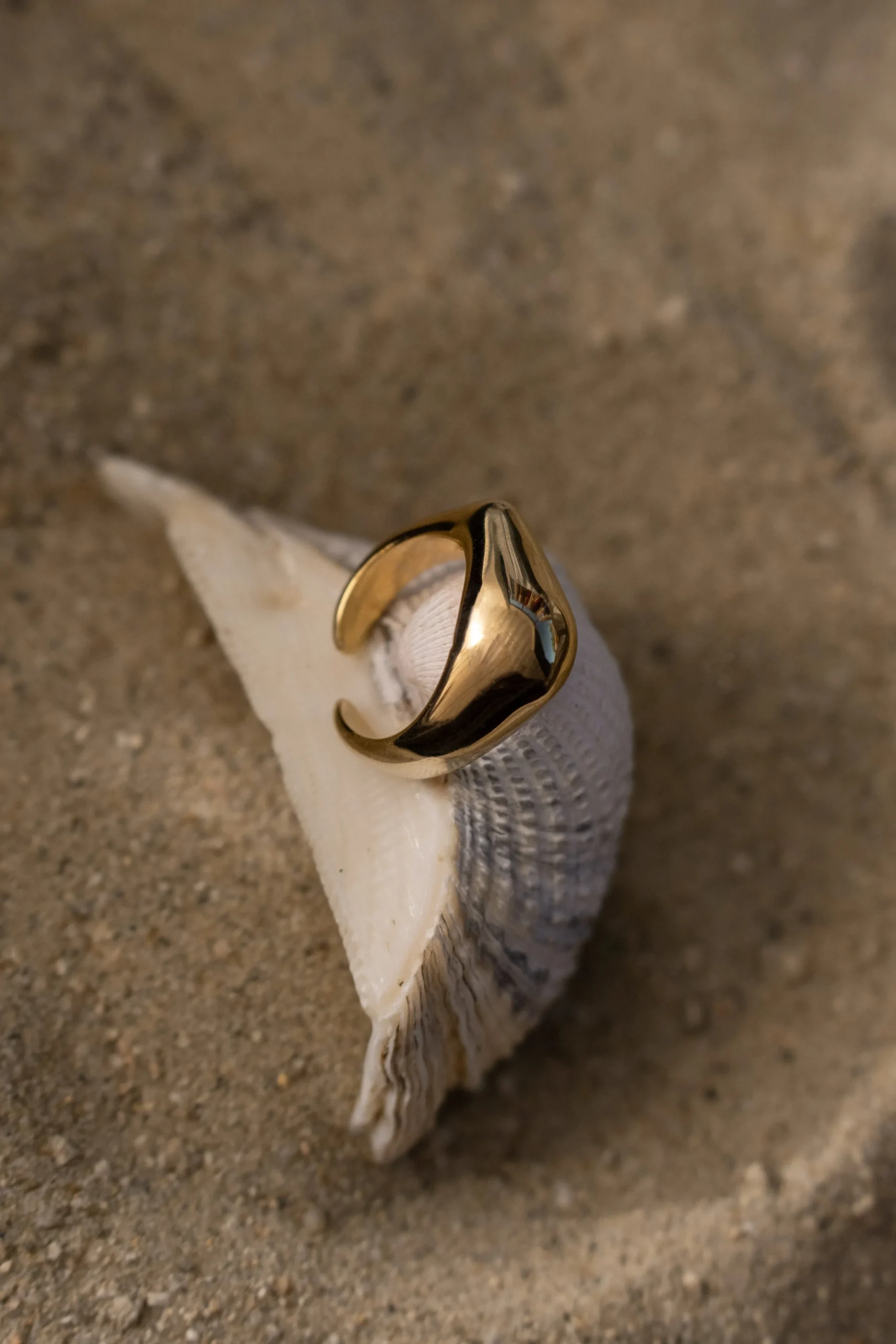 gold_lucci_ring_0.webp JLUXLABEL Gold Lucci Ring