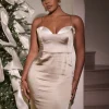 JLUXLABEL Taupe Moment In Time Maxi Dress
